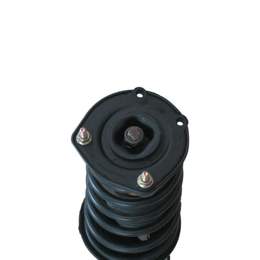 PRT PERFORMANCE RIDE 813073 PRT Complete Strut Assembly