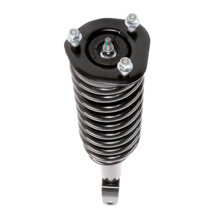 PRT PERFORMANCE RIDE 813487 PRT Complete Strut Assembly