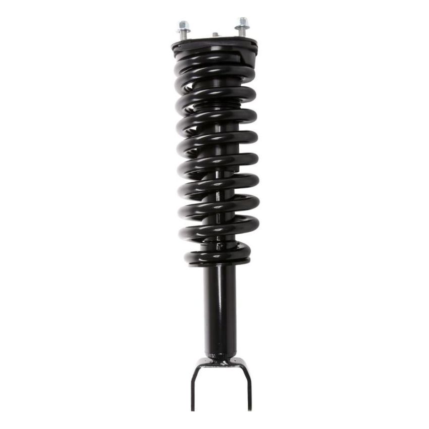 PRT PERFORMANCE RIDE 813487 PRT Complete Strut Assembly