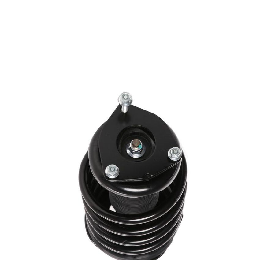 PRT PERFORMANCE RIDE 813491 PRT Complete Strut Assembly