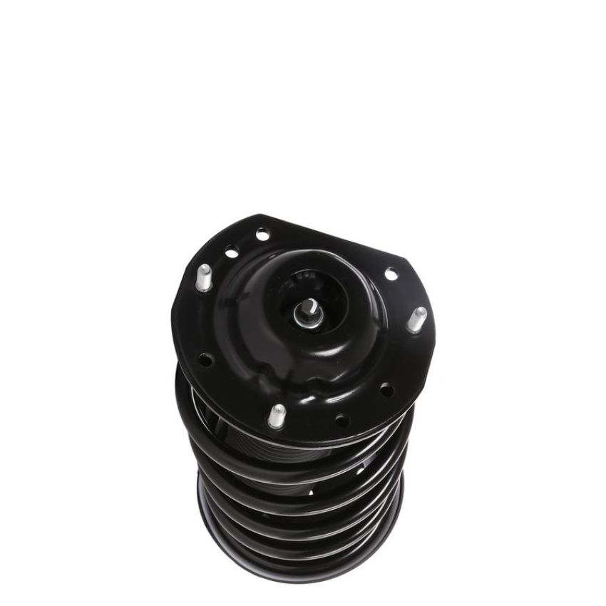 PRT PERFORMANCE RIDE 813494 PRT Complete Strut Assembly
