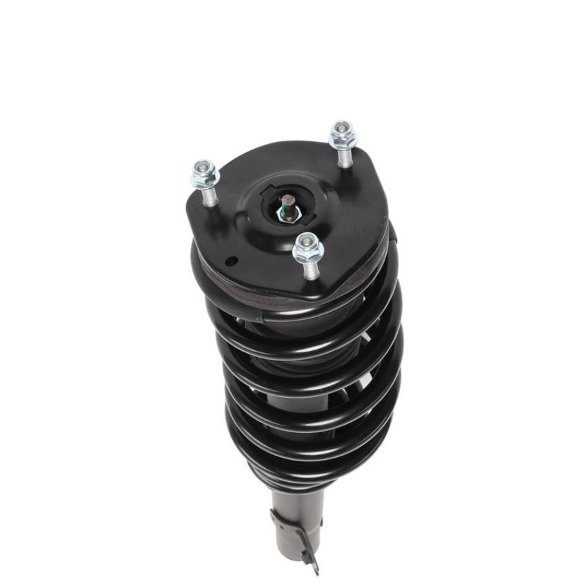 PRT PERFORMANCE RIDE 813846 PRT Complete Strut Assembly