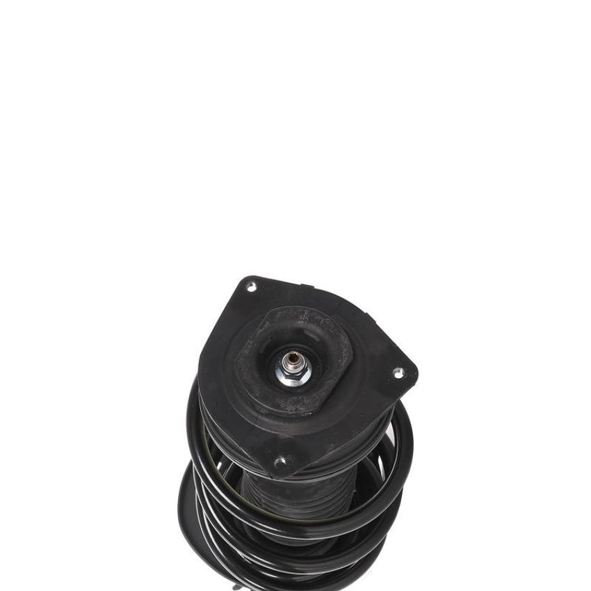 PRT PERFORMANCE RIDE 813859 PRT Complete Strut Assembly