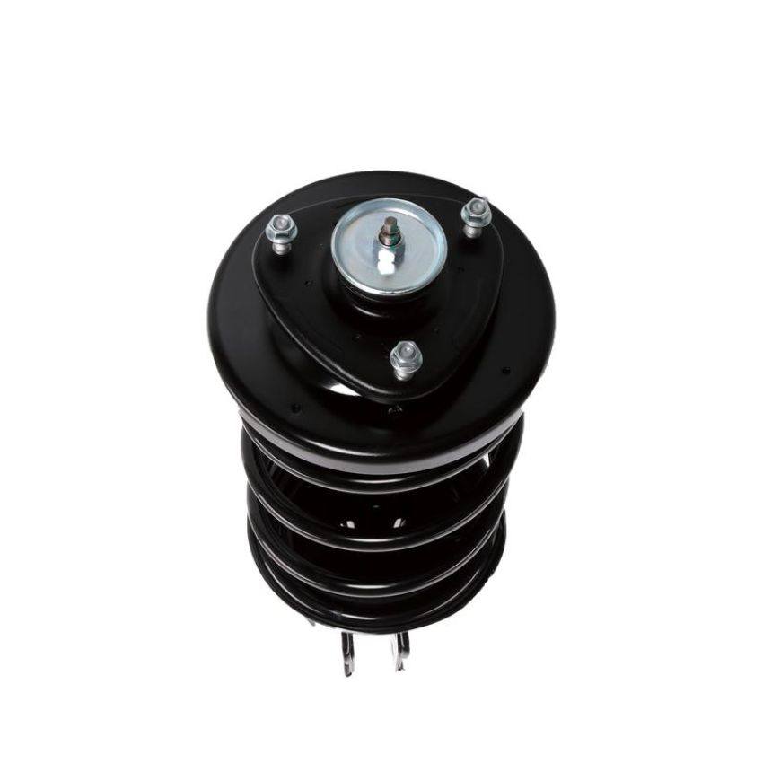 PRT PERFORMANCE RIDE 814406 PRT Complete Strut Assembly