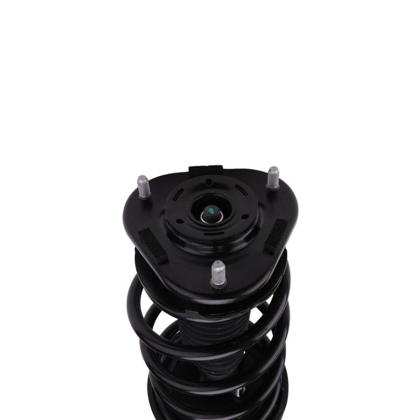 PRT PERFORMANCE RIDE 814989 PRT Complete Strut Assembly