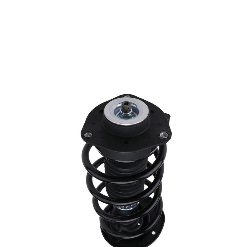 PRT PERFORMANCE RIDE 815219 PRT Complete Strut Assembly
