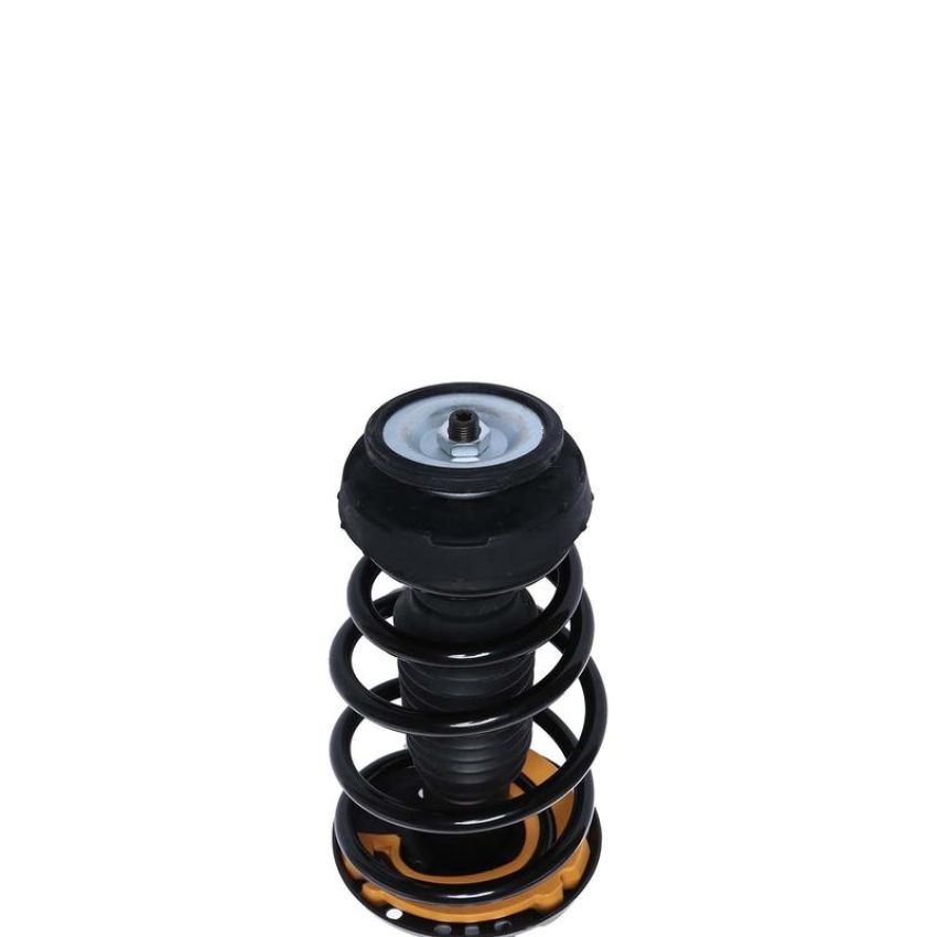 PRT PERFORMANCE RIDE 815329 PRT Complete Strut Assembly