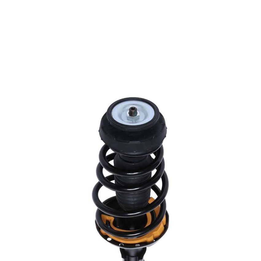 PRT PERFORMANCE RIDE 815376 PRT Complete Strut Assembly