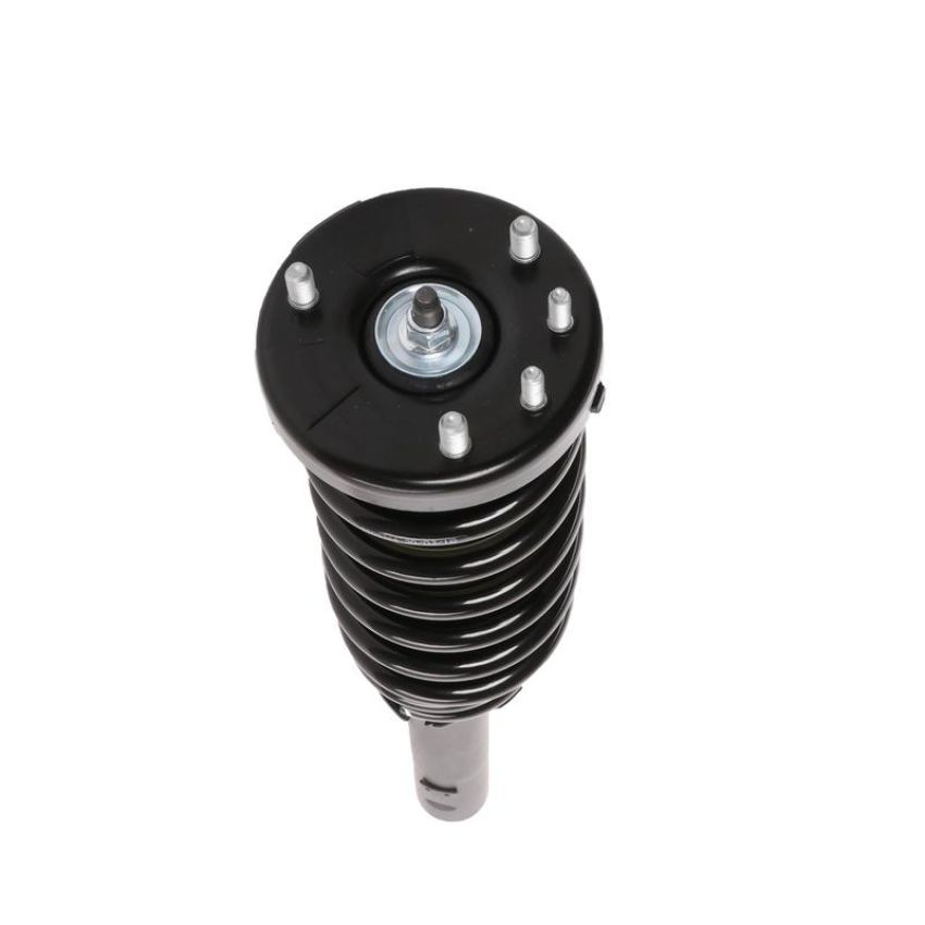 PRT PERFORMANCE RIDE 815378 PRT Complete Strut Assembly