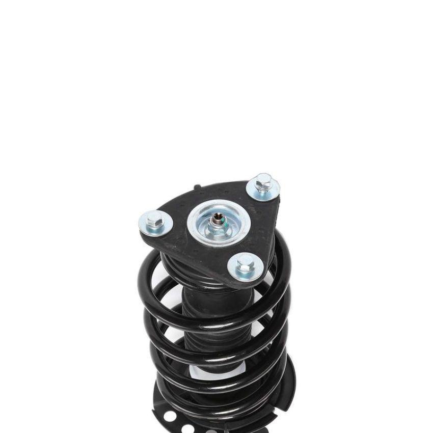 PRT PERFORMANCE RIDE 815381 PRT Complete Strut Assembly