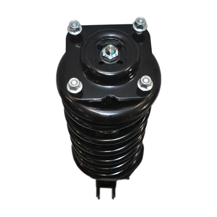 PRT PERFORMANCE RIDE 815391 PRT Complete Strut Assembly