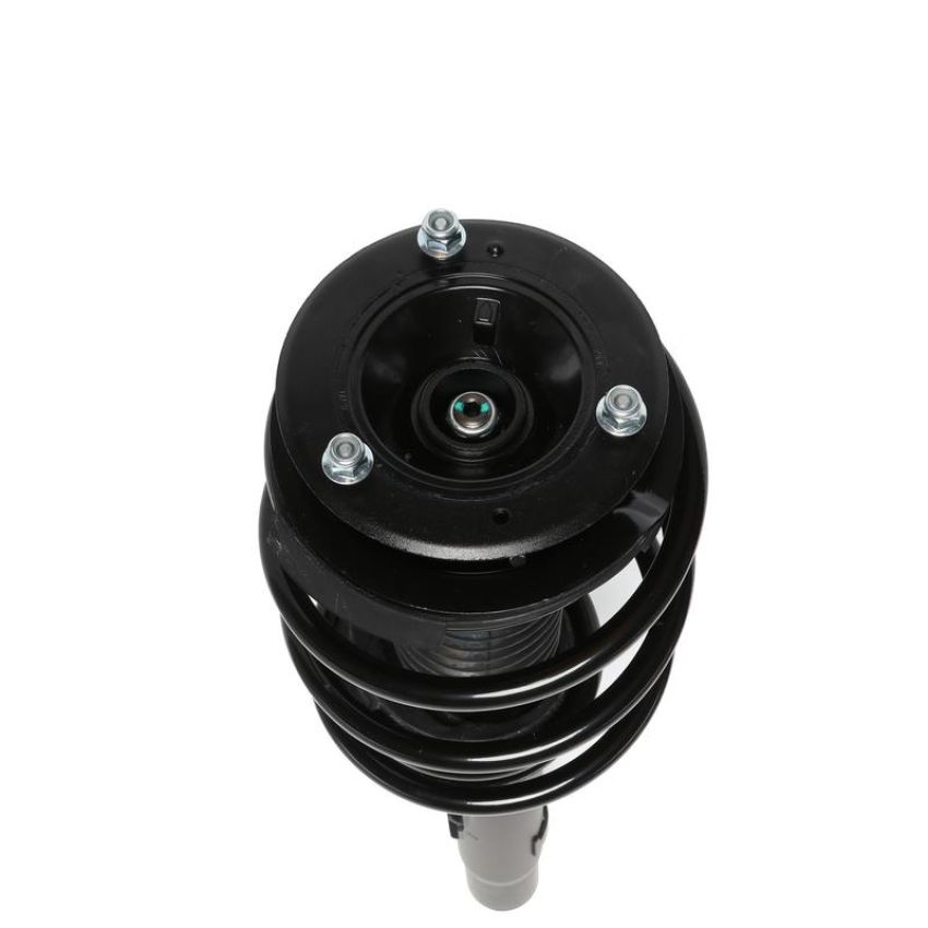 PRT PERFORMANCE RIDE 815906 PRT Complete Strut Assembly