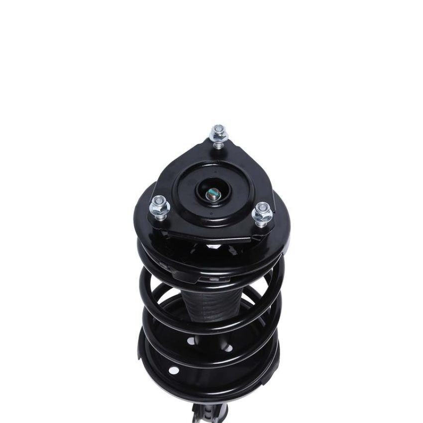 PRT PERFORMANCE RIDE 815925 PRT Complete Strut Assembly
