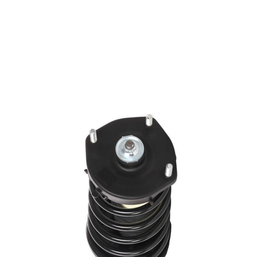 PRT PERFORMANCE RIDE 815928 PRT Complete Strut Assembly