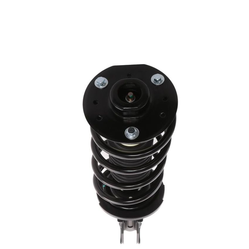 PRT PERFORMANCE RIDE 815954 PRT Complete Strut Assembly