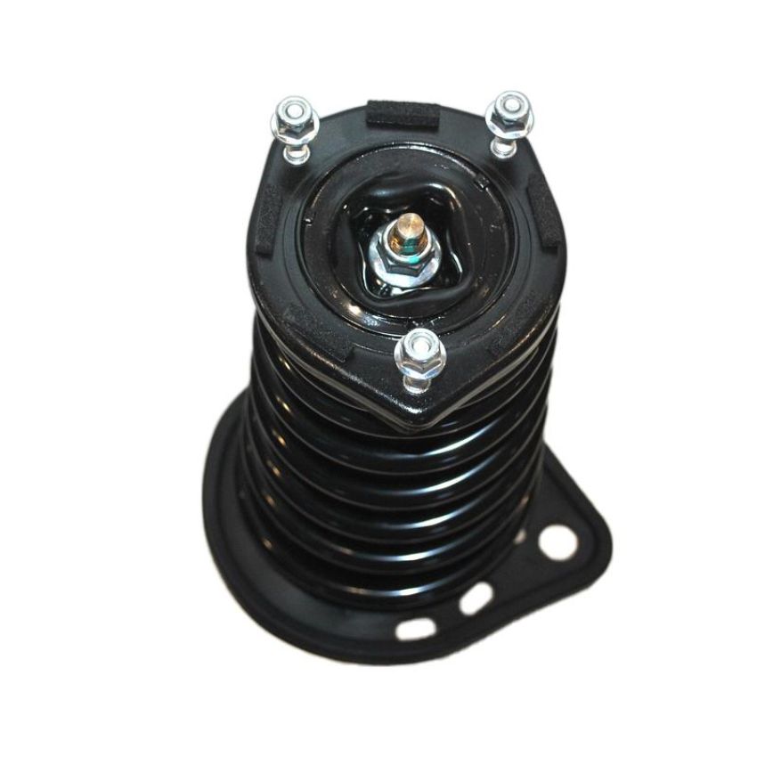 PRT PERFORMANCE RIDE 816336 PRT Complete Strut Assembly