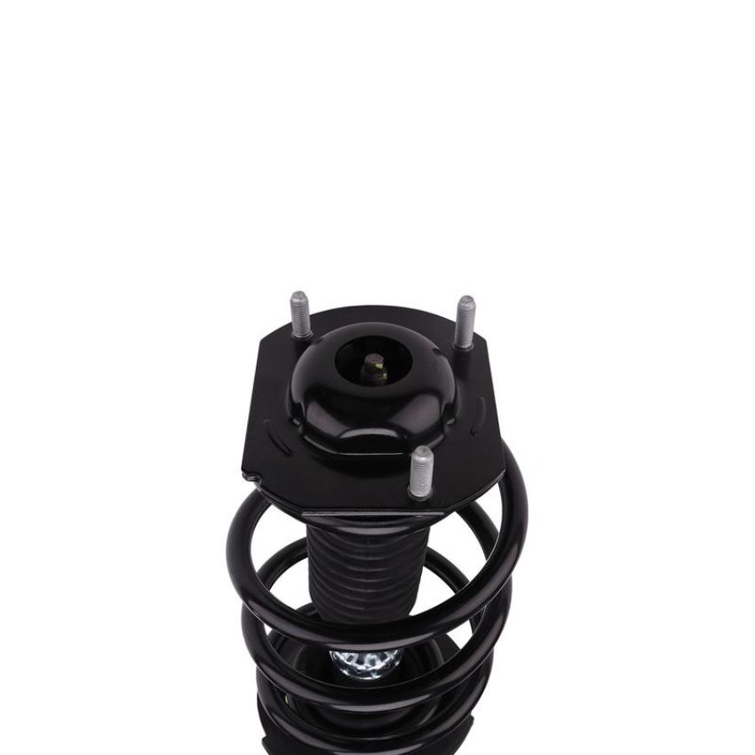 PRT PERFORMANCE RIDE 816343 PRT Complete Strut Assembly