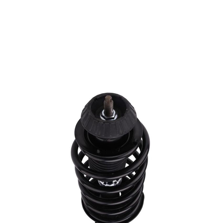 PRT PERFORMANCE RIDE 816645 PRT Complete Strut Assembly