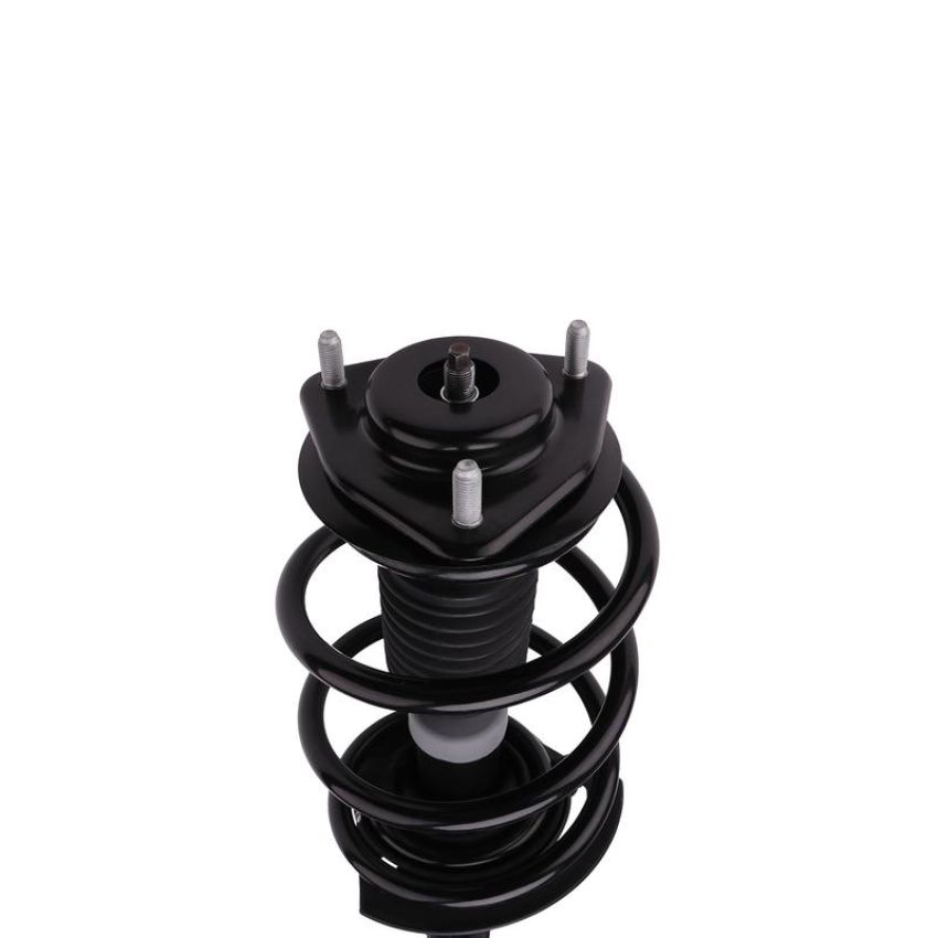PRT PERFORMANCE RIDE 816955 PRT Complete Strut Assembly