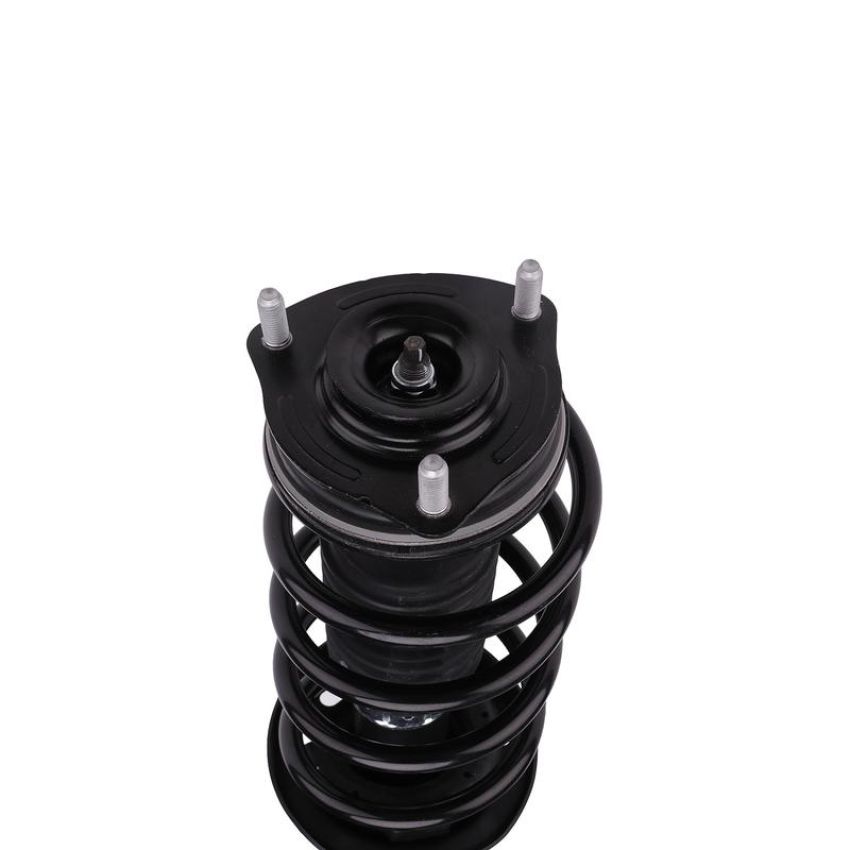 PRT PERFORMANCE RIDE 817029 PRT Complete Strut Assembly