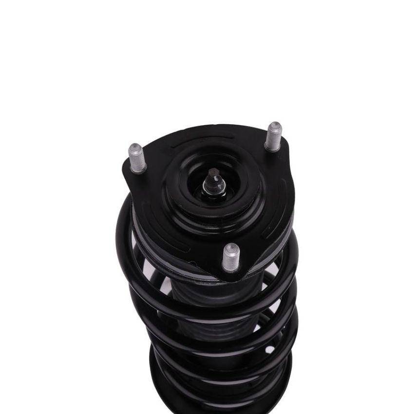 PRT PERFORMANCE RIDE 817030 PRT Complete Strut Assembly