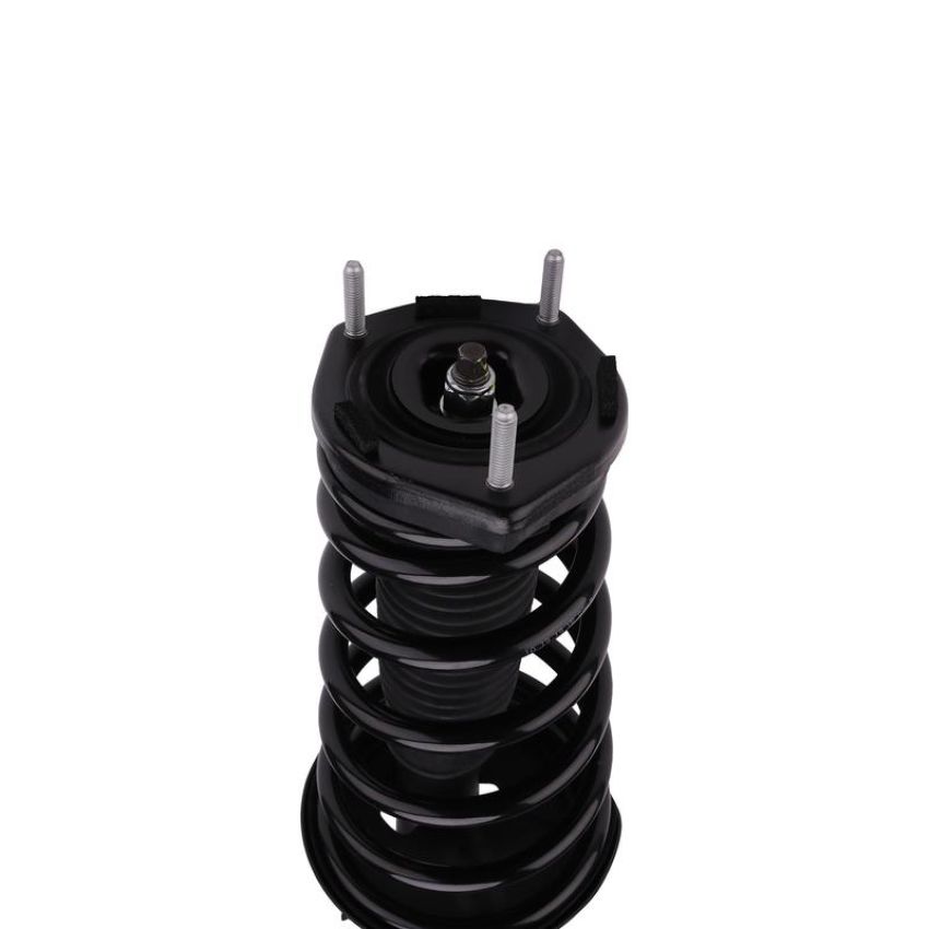 PRT PERFORMANCE RIDE 817036 PRT Complete Strut Assembly