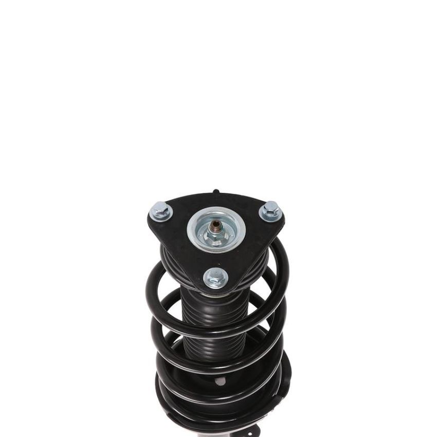 PRT PERFORMANCE RIDE 817041 PRT Complete Strut Assembly