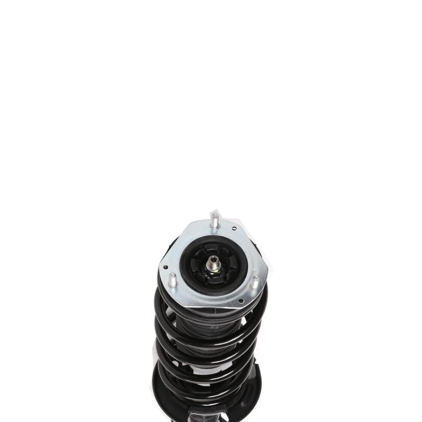 PRT PERFORMANCE RIDE 817103 PRT Complete Strut Assembly