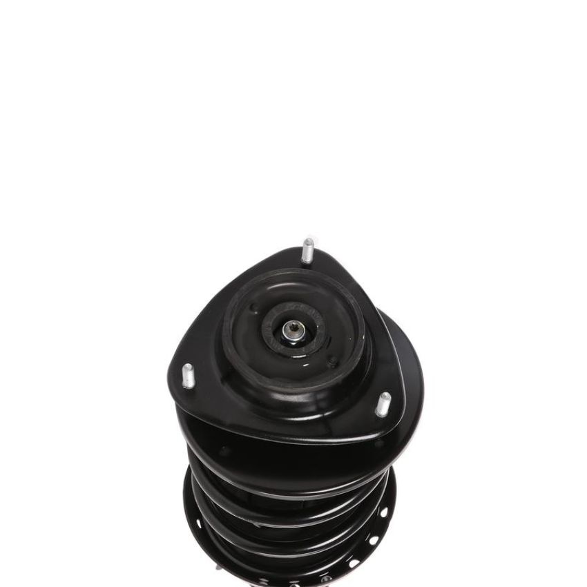 PRT PERFORMANCE RIDE 817111 PRT Complete Strut Assembly