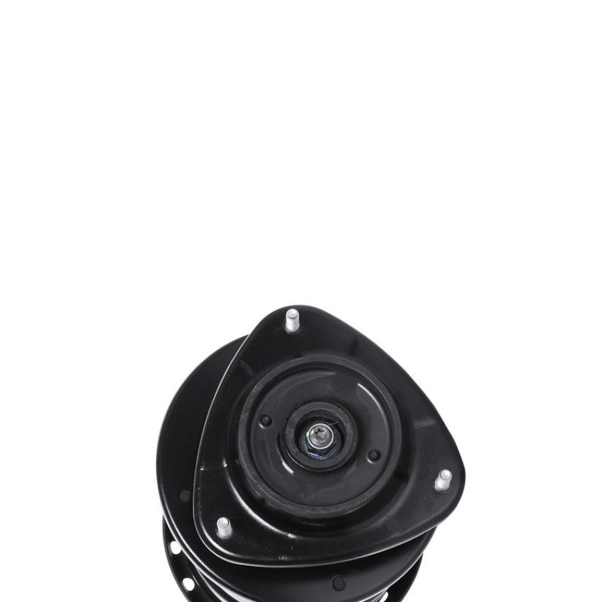 PRT PERFORMANCE RIDE 817132 PRT Complete Strut Assembly