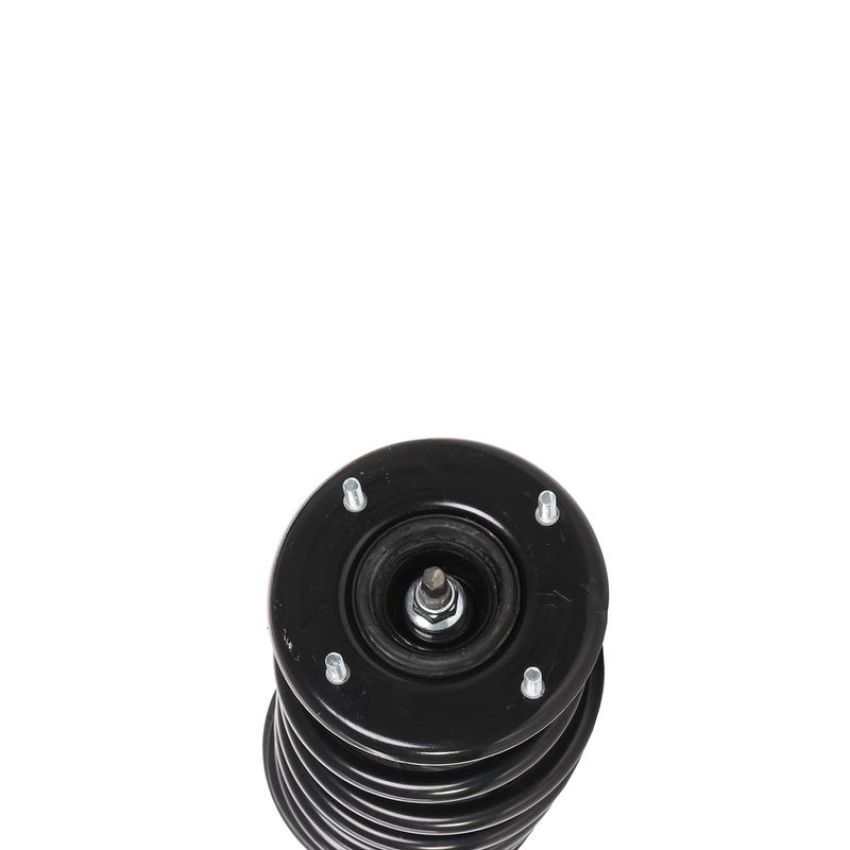 PRT PERFORMANCE RIDE 817154 PRT Complete Strut Assembly