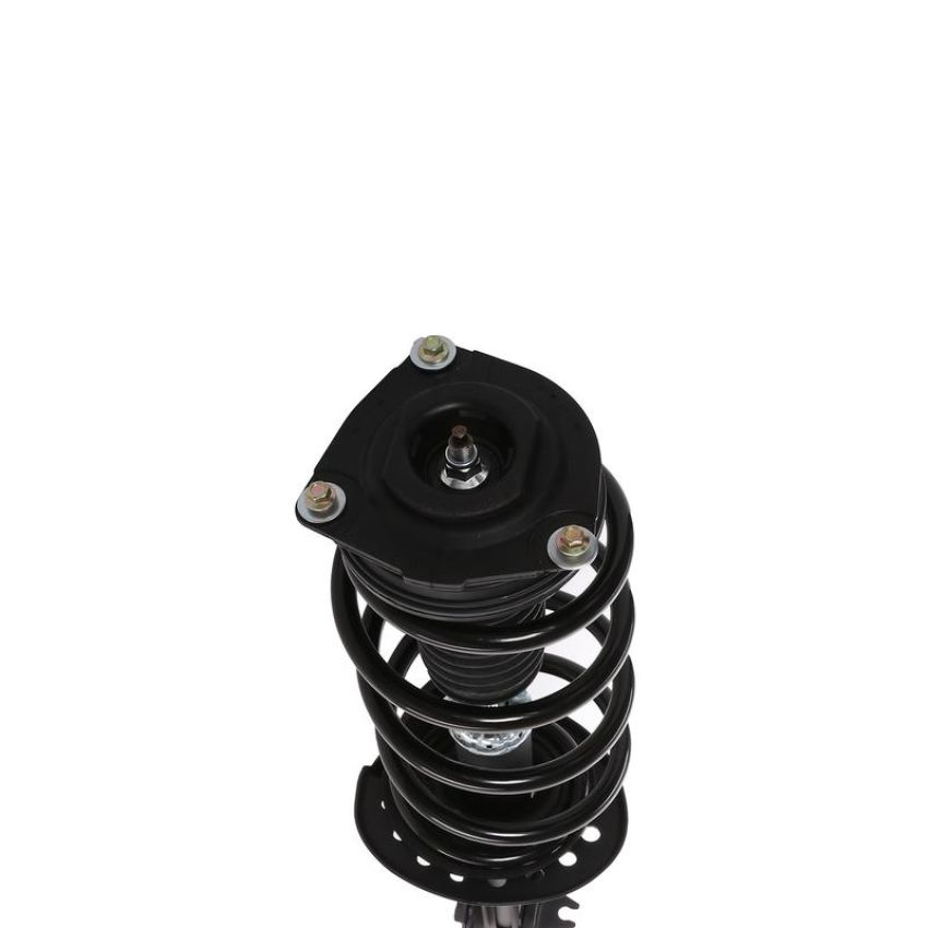 PRT PERFORMANCE RIDE 817155 PRT Complete Strut Assembly