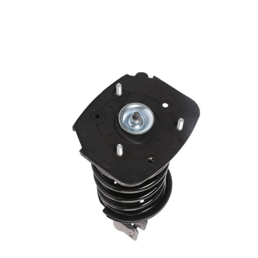 PRT PERFORMANCE RIDE 817161 PRT Complete Strut Assembly