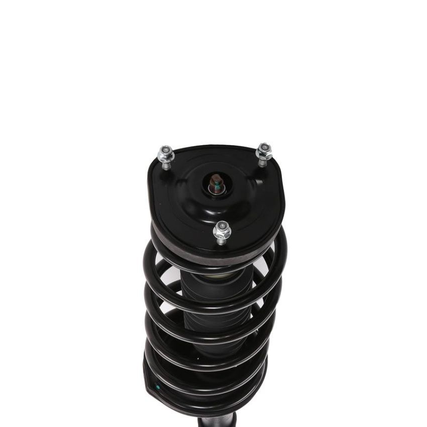 PRT PERFORMANCE RIDE 817244 PRT Complete Strut Assembly