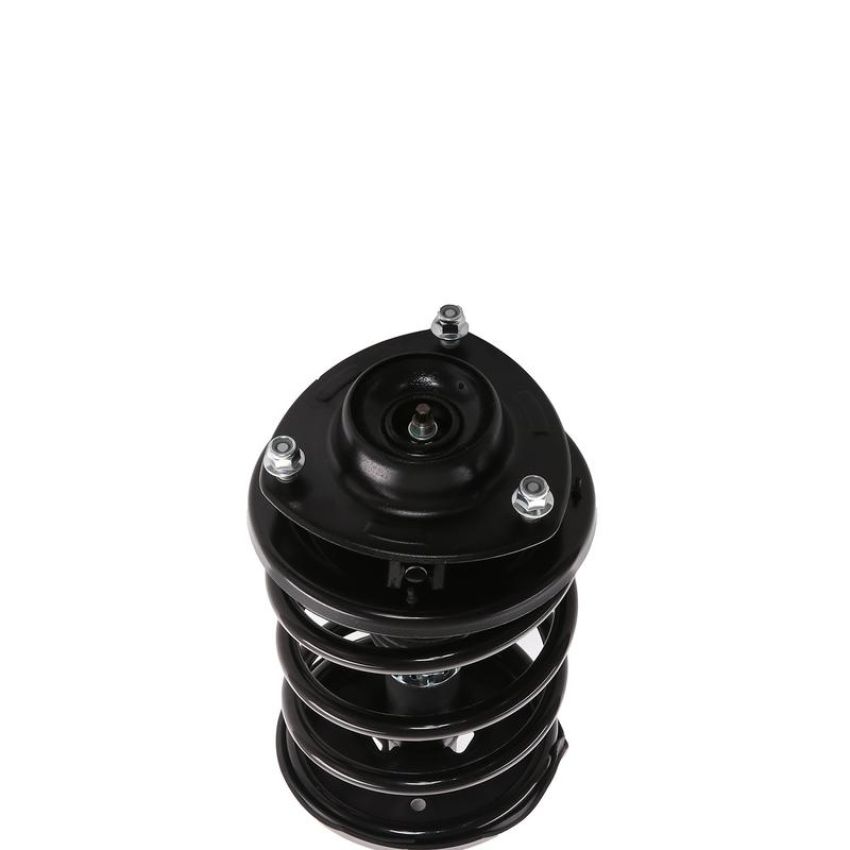PRT PERFORMANCE RIDE 818184 PRT Complete Strut Assembly