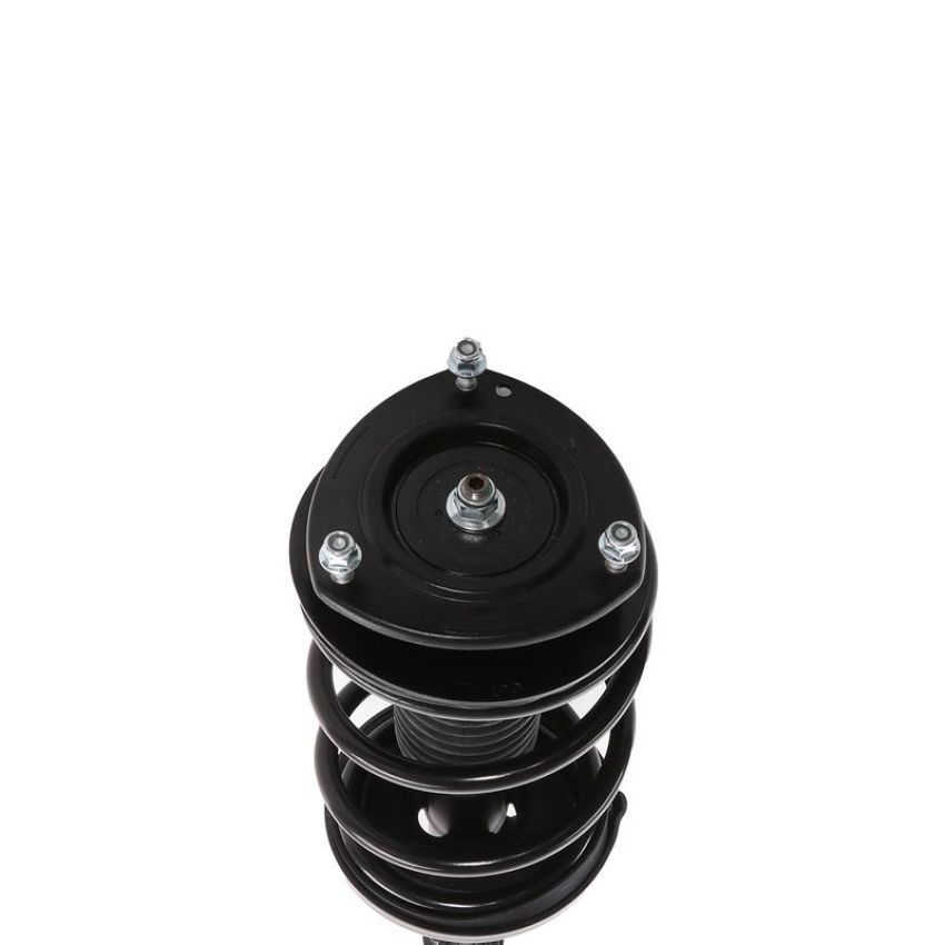 PRT PERFORMANCE RIDE 818196 PRT Complete Strut Assembly