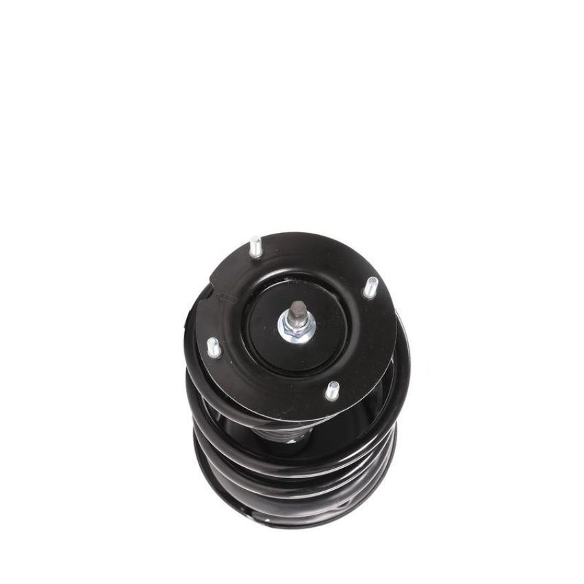 PRT PERFORMANCE RIDE 818201 PRT Complete Strut Assembly