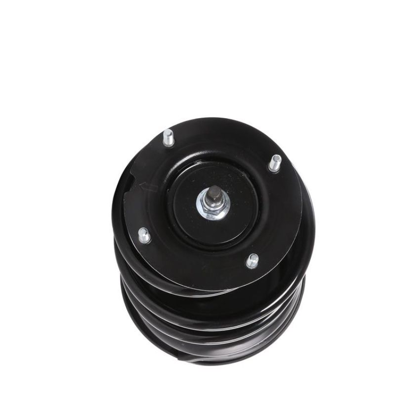 PRT PERFORMANCE RIDE 818202 PRT Complete Strut Assembly
