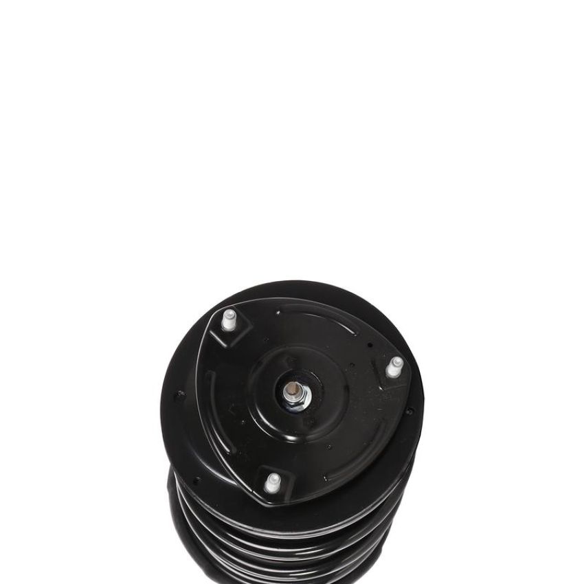PRT PERFORMANCE RIDE 818205 PRT Complete Strut Assembly