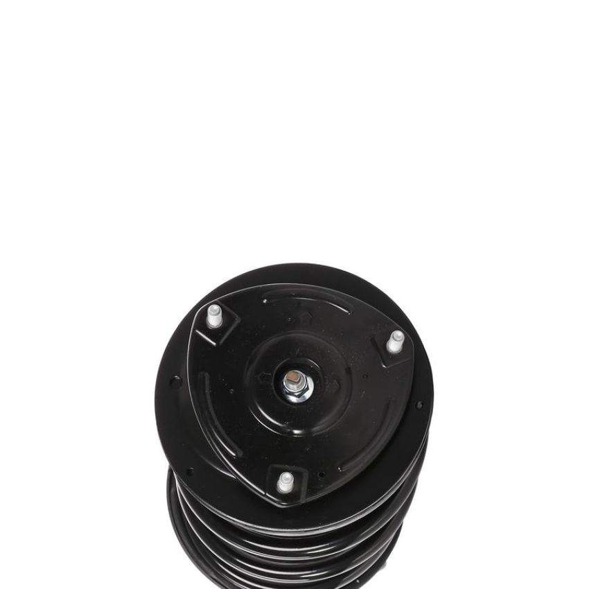 PRT PERFORMANCE RIDE 818206 PRT Complete Strut Assembly