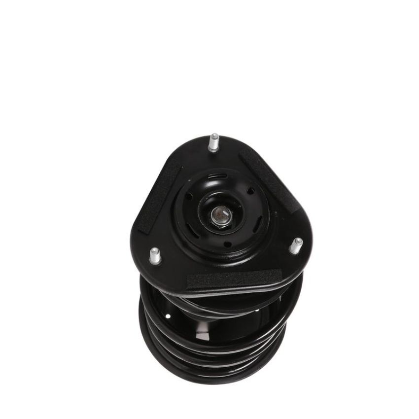 PRT PERFORMANCE RIDE 818209 PRT Complete Strut Assembly