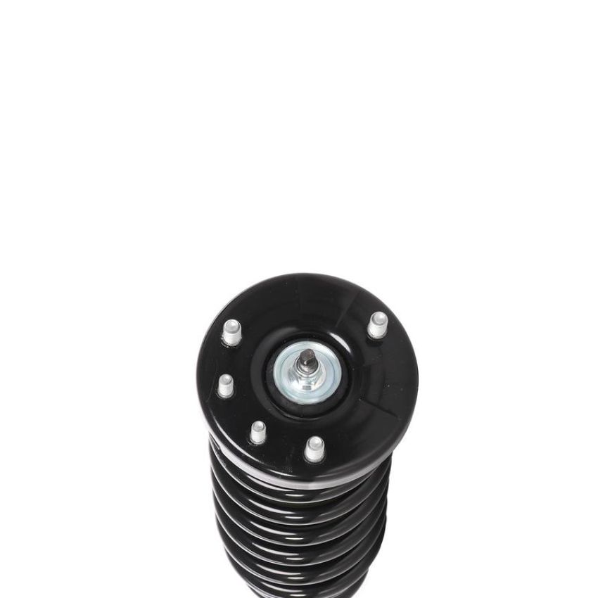 PRT PERFORMANCE RIDE 818224 PRT Complete Strut Assembly