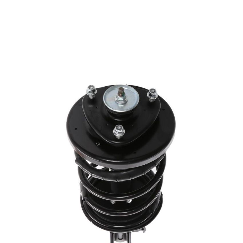 PRT PERFORMANCE RIDE 818289 PRT Complete Strut Assembly
