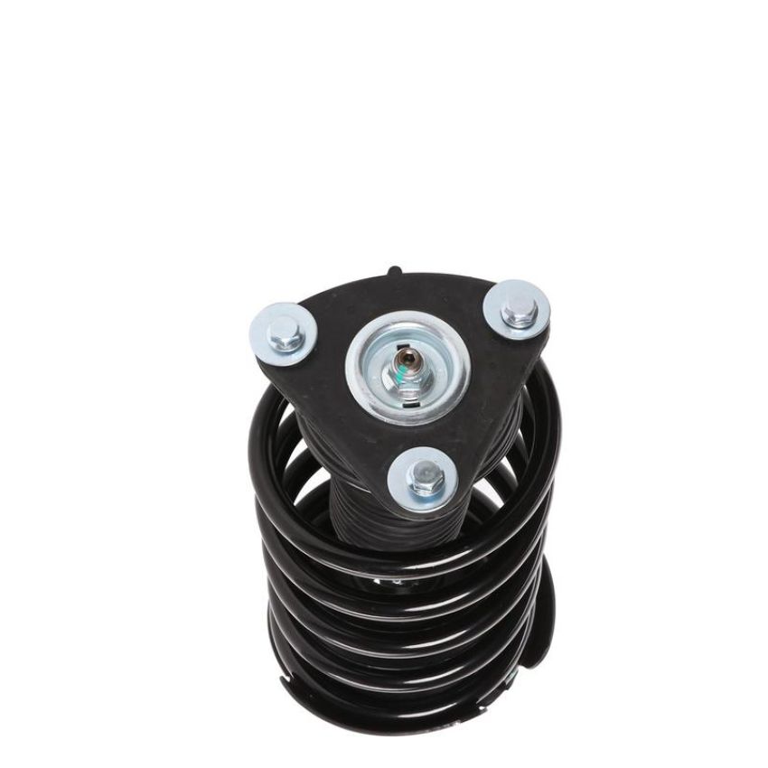 PRT PERFORMANCE RIDE 818313 PRT Complete Strut Assembly