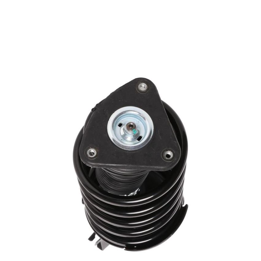 PRT PERFORMANCE RIDE 818314 PRT Complete Strut Assembly