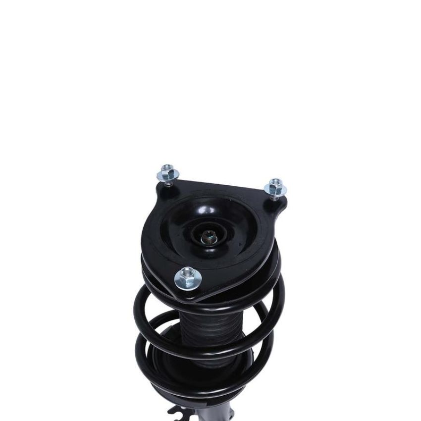 PRT PERFORMANCE RIDE 818577 PRT Complete Strut Assembly