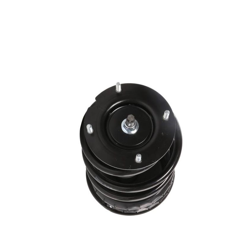 PRT PERFORMANCE RIDE 818897 PRT Complete Strut Assembly