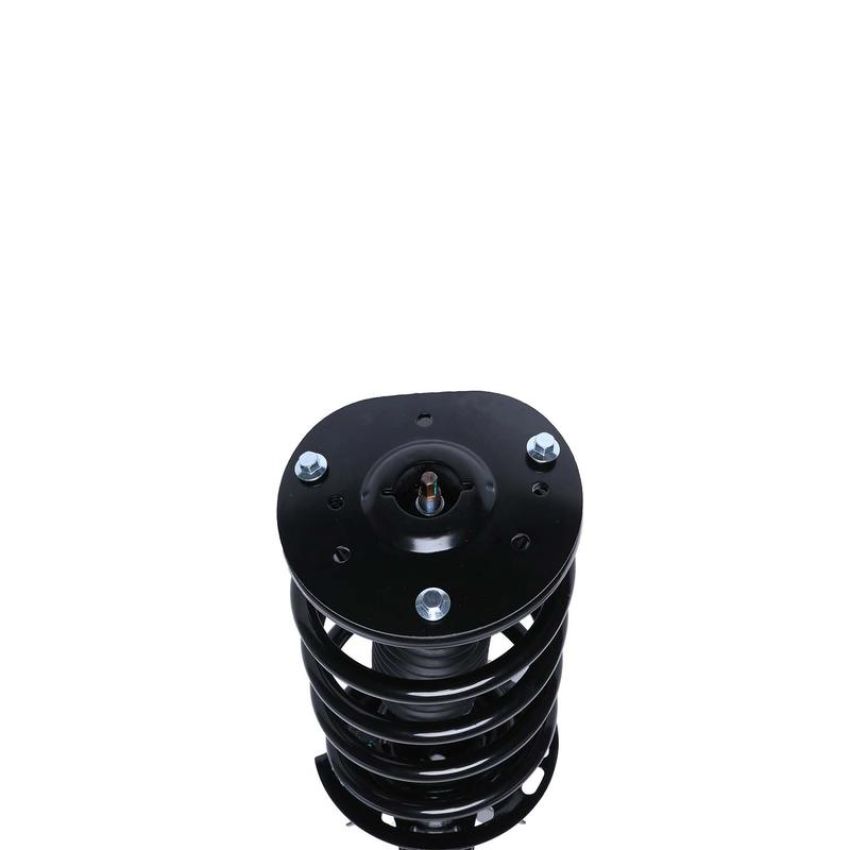 PRT PERFORMANCE RIDE 818899 PRT Complete Strut Assembly