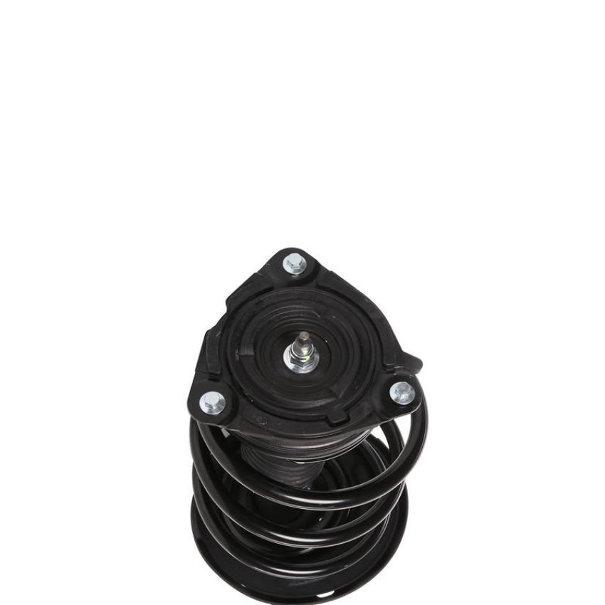 PRT PERFORMANCE RIDE 818908 PRT Complete Strut Assembly