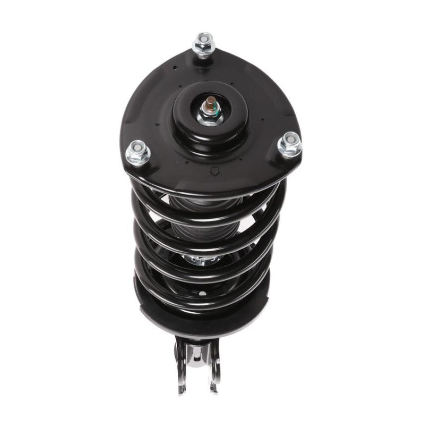 PRT PERFORMANCE RIDE 818934 PRT Complete Strut Assembly